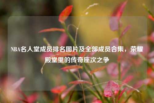 NBA名人堂成员排名图片及全部成员合集,荣耀殿堂里的传奇座次之争