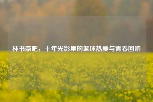 林书豪吧,十年光影里的篮球热爱与青春回响