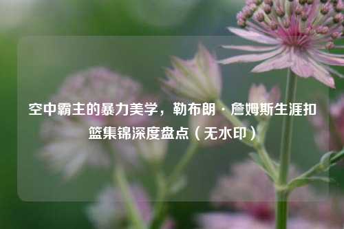 空中霸主的暴力美学,勒布朗·詹姆斯生涯扣篮集锦深度盘点(无水印)