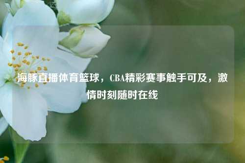 海豚直播体育篮球,CBA精彩赛事触手可及, 时刻随时在线