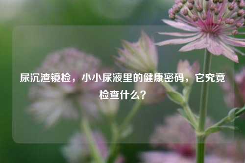 尿沉渣镜检,小小尿液里的健康密码,它究竟检查什么?