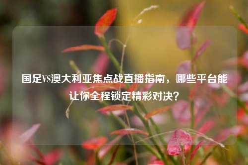 国足VS澳大利亚焦点战直播指南,哪些平台能让你全程锁定精彩对决?