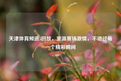 天津体育频道5回放,重温赛场 ,不错过每一个精彩瞬间