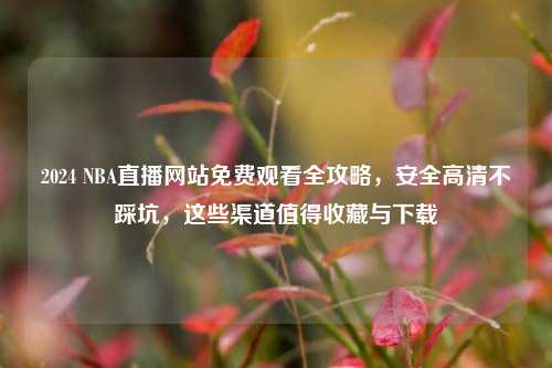 2024 NBA直播网站免费观看全攻略,安全高清不踩坑,这些渠道值得收藏与下载