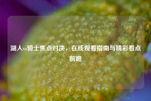 湖人vs骑士焦点对决,在线观看指南与精彩看点前瞻