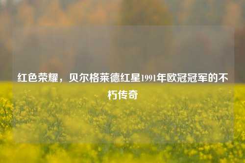 红色荣耀,贝尔格莱德红星1991年欧冠冠军的不朽传奇
