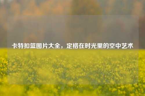 卡特扣篮图片大全,定格在时光里的空中艺术