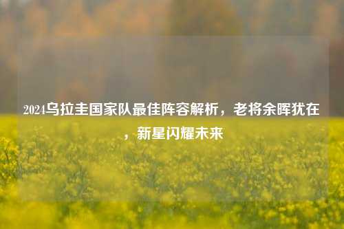 2024乌拉圭国家队更佳阵容解析,老将余晖犹在,新星闪耀未来