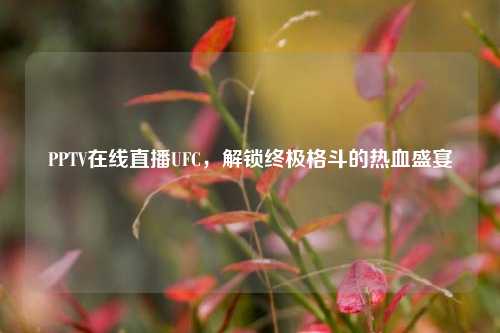 PPTV在线直播UFC,解锁终极格斗的热血盛宴