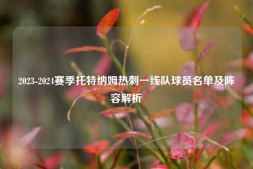 2023-2024赛季托特纳姆热刺一线队球员名单及阵容解析
