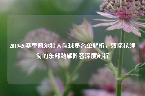 2019-20赛季凯尔特人队球员名单解析,双探花领衔的东部劲旅阵容深度剖析