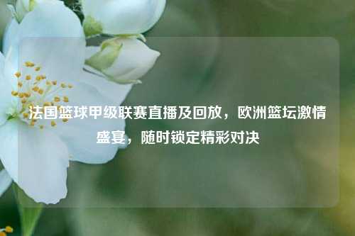 法国篮球甲级联赛直播及回放,欧洲篮坛 盛宴,随时锁定精彩对决
