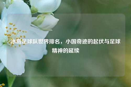 冰岛足球队世界排名,小国奇迹的起伏与足球精神的延续