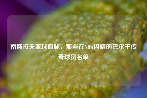 南斯拉夫篮球血脉,那些在NBA闪耀的巴尔干传奇球员名单