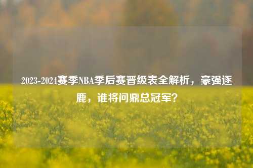 2023-2024赛季NBA季后赛晋级表全解析,豪强逐鹿,谁将问鼎总冠军?