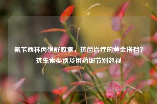 氨苄西林丙磺舒胶囊,抗菌治疗的黄金搭档?抗生素类别及用药细节别忽视