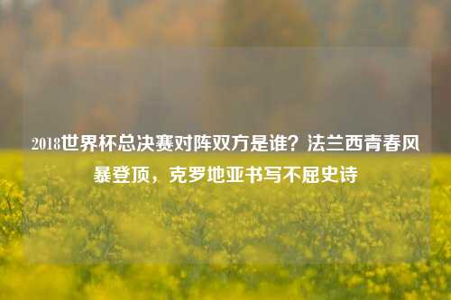 2018世界杯总决赛对阵双方是谁?法兰西青春风暴登顶,克罗地亚书写不屈史诗