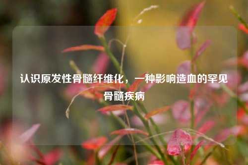 认识原发性骨髓纤维化,一种影响造血的罕见骨髓疾病