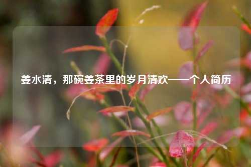姜水清,那碗姜茶里的岁月清欢——个人简历