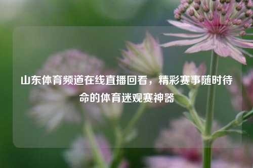 山东体育频道在线直播回看,精彩赛事随时待命的体育迷观赛神器