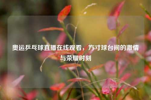 奥运乒乓球直播在线观看,方寸球台间的 与荣耀时刻
