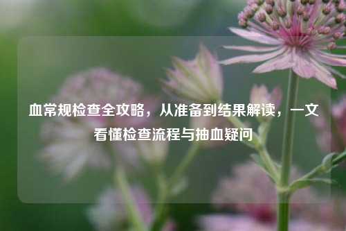 血常规检查全攻略,从准备到结果解读,一文看懂检查流程与抽血疑问