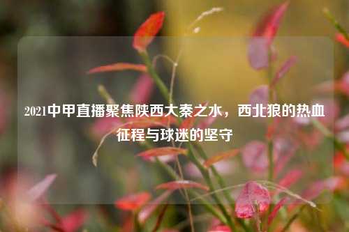 2021中甲直播聚焦陕西大秦之水,西北狼的热血征程与球迷的坚守