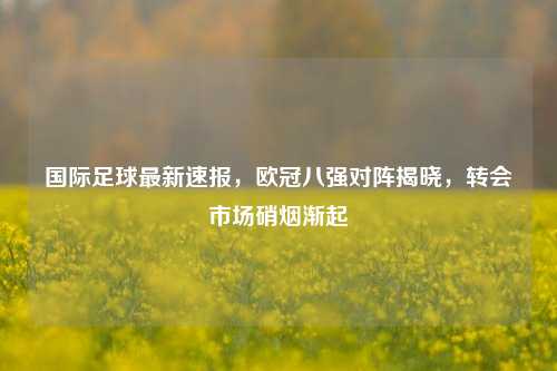 国际足球最新速报,欧冠八强对阵揭晓,转会市场硝烟渐起