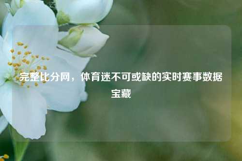 完整比分网,体育迷不可或缺的实时赛事数据宝藏