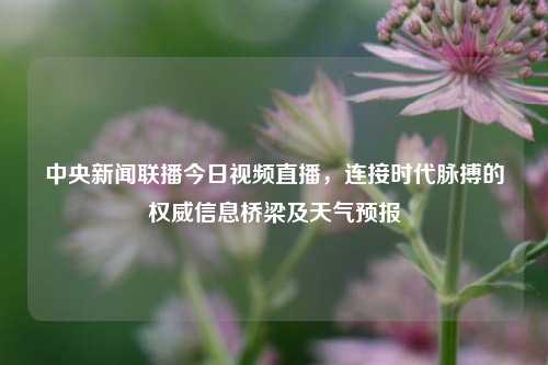 中央新闻联播今日视频直播,连接时代脉搏的权威信息桥梁及天气预报