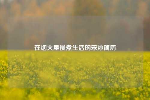 在烟火里慢煮生活的宋冰简历