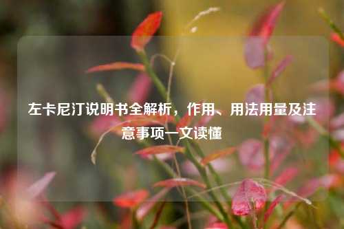 左卡尼汀说明书全解析,作用、用法用量及注意事项一文读懂