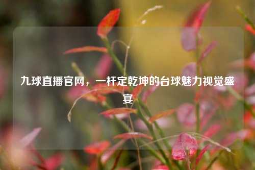 九球直播官网,一杆定乾坤的台球魅力视觉盛宴