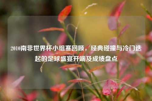 2010南非世界杯小组赛回顾,经典碰撞与冷门迭起的足球盛宴开端及成绩盘点