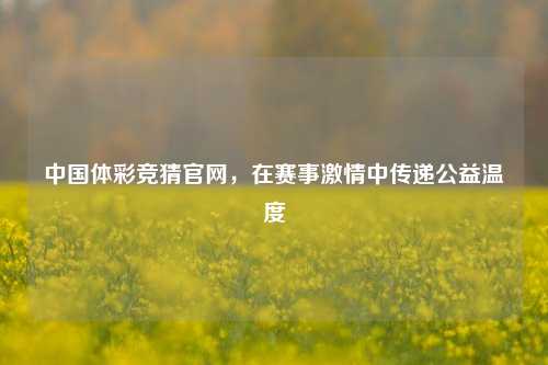 中国体彩竞猜官网,在赛事 中传递公益温度
