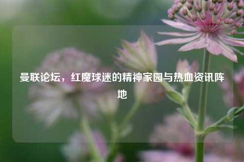 曼联论坛,红魔球迷的精神家园与热血资讯阵地