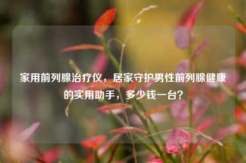 家用前列腺治疗仪,居家守护男性前列腺健康的实用助手,多少钱一台?