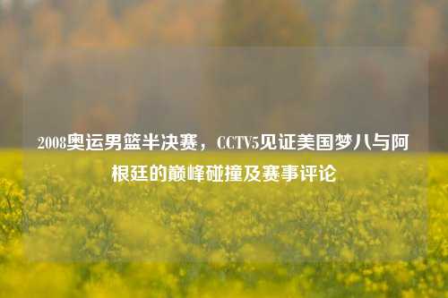 2008奥运男篮半决赛,CCTV5见证美国梦八与阿根廷的巅峰碰撞及赛事评论