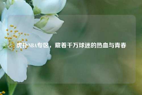 虎扑NBA专区,藏着千万球迷的热血与青春