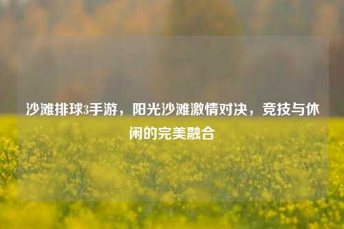 沙滩排球3手游,阳光沙滩 对决,竞技与休闲的完美融合