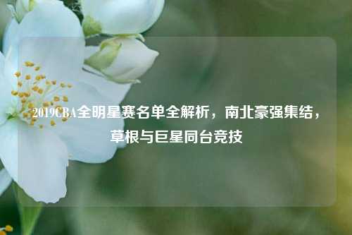 2019CBA全明星赛名单全解析,南北豪强集结,草根与巨星同台竞技