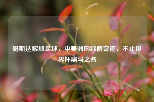 哥斯达黎加足球,中美洲的绿荫奇迹,不止世界杯黑马之名