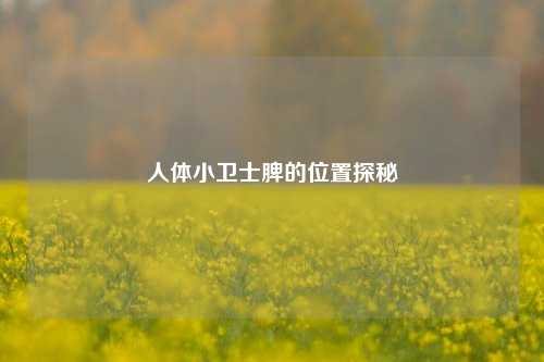 人体小卫士脾的位置探秘