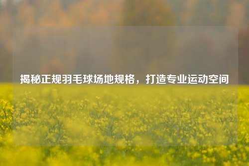 揭秘正规羽毛球场地规格,打造专业运动空间