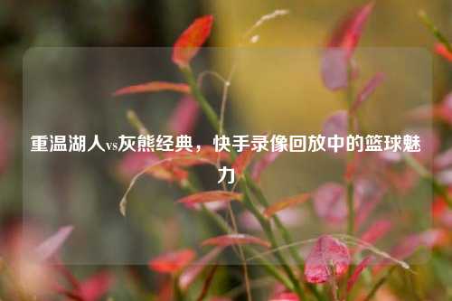 重温湖人vs灰熊经典,快手录像回放中的篮球魅力