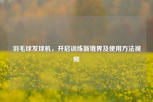 羽毛球发球机,开启训练新境界及使用 视频