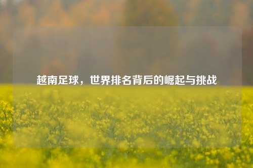 越南足球,世界排名背后的崛起与挑战