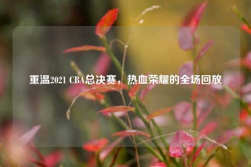 重温2021 CBA总决赛,热血荣耀的全场回放