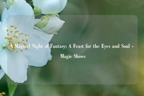 A Magical Night of Fantasy: A Feast for the Eyes and Soul - Magic Shows