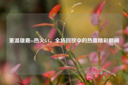 重温雄鹿vs热火G4,全场回放中的热血精彩瞬间